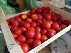 5 kg Tomaten