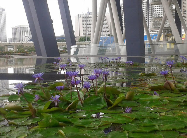 Marina Bay in Singapur