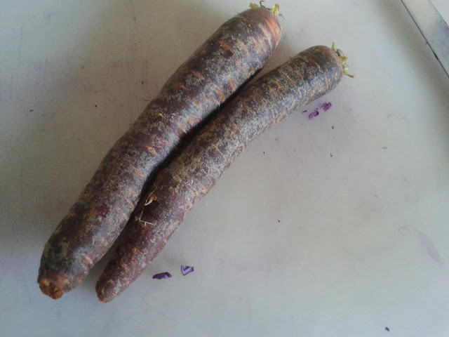 Violette Karotten