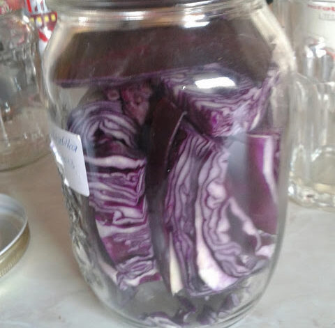 Blaukraut