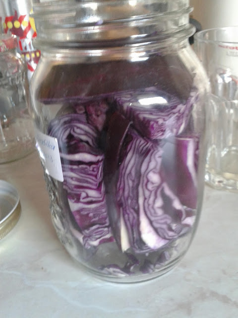 Blaukraut