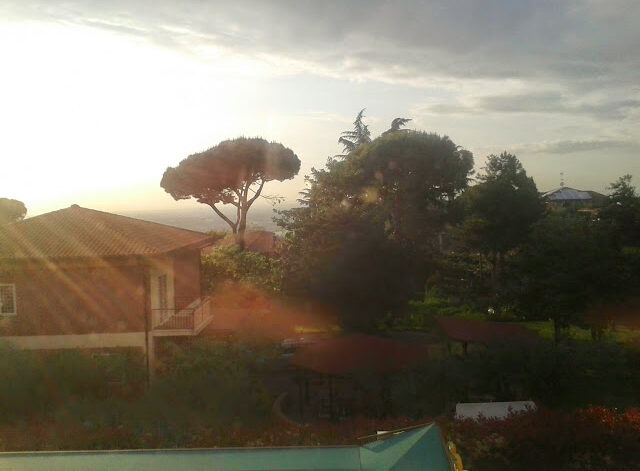 Frascati