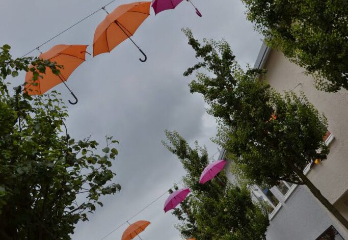 Donaugartenschau