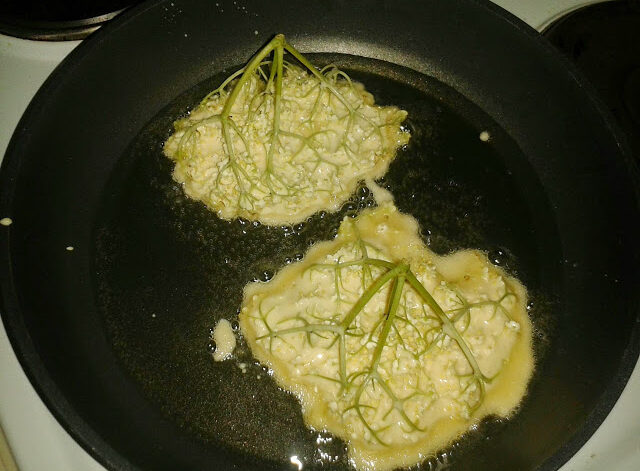 Holunderkücherl