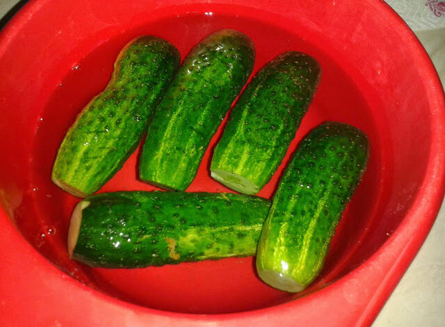 Eingelegte Gurken