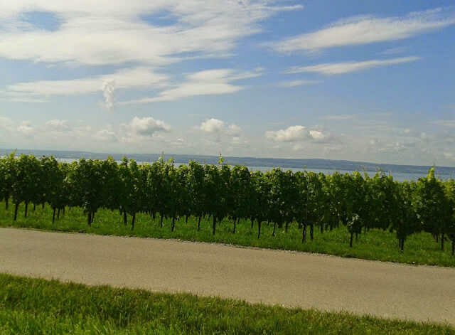 Bodensee