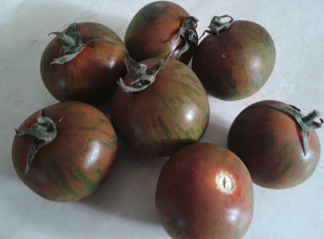 Tomaten