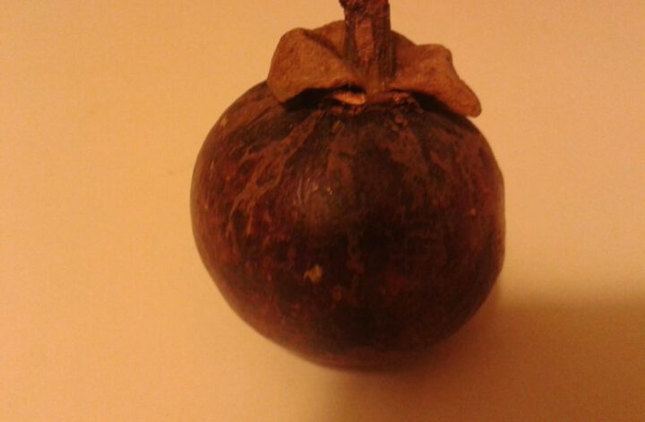 Mangosteen