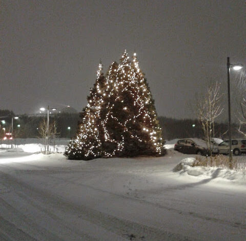 Reykjavik