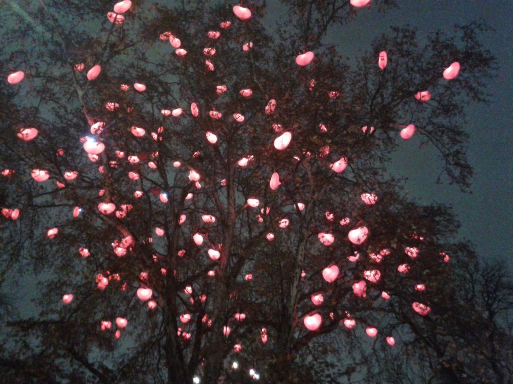 Beleuchtung in den Bäumen beim Christkindlmarkt am Wiener Rathhaus