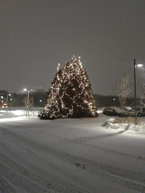 Christbäume vorm Hotel