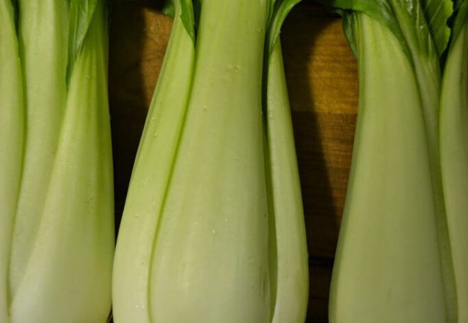 Pak Choi