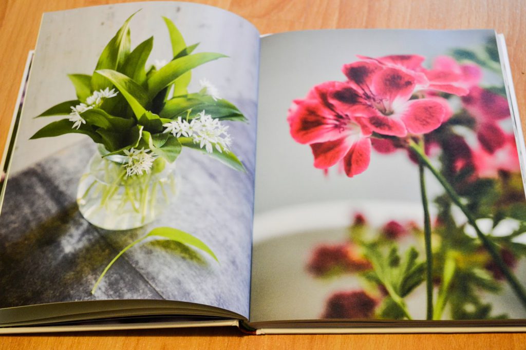 Mein Kräuter- & Blumenkochbuch