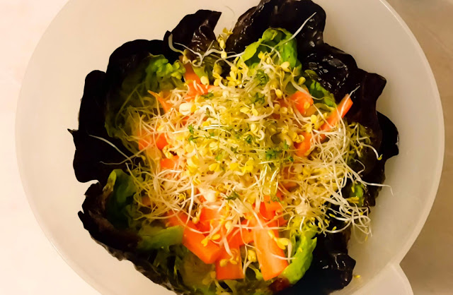 Salat mit Sprossen und Kresse
