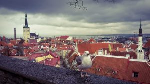 Tallinn