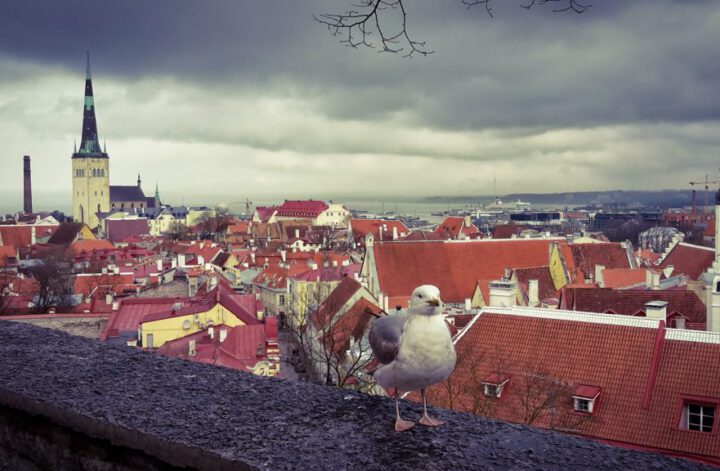Tallinn