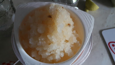 Wasserkefir