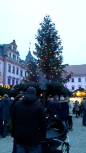 Leberkassemmel und mehr: Christbaum in Regensburg