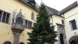 Leberkassemmel und mehr: Christbaum in Regensburg