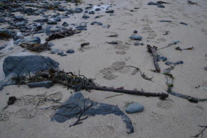 Leberkassemmel und mehr: am Strand