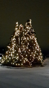 Leberkassemmel und mehr: Christbäume