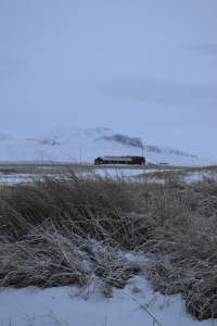 Leberkassemmel und mehr: Landschaft nähe Strand