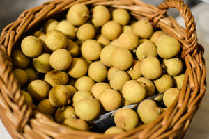 Longan