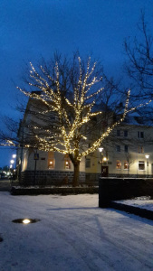 Leberkassemmel und mehr: Weihnachtsbeleuchtung