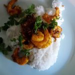 Quick and Dirty: Shrimp Curry