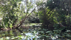 Leberkassemmel und mehr: Everglades