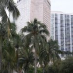 Urlaub: Miami - Ausflüge