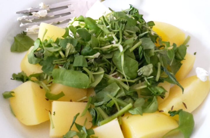 Kartoffeln mit Wildkräutern