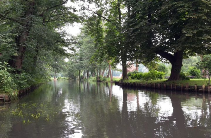 Spreewald