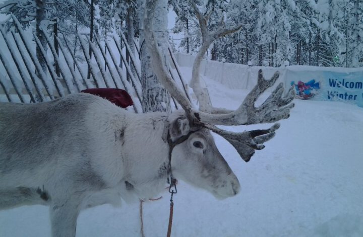 Rovaniemi