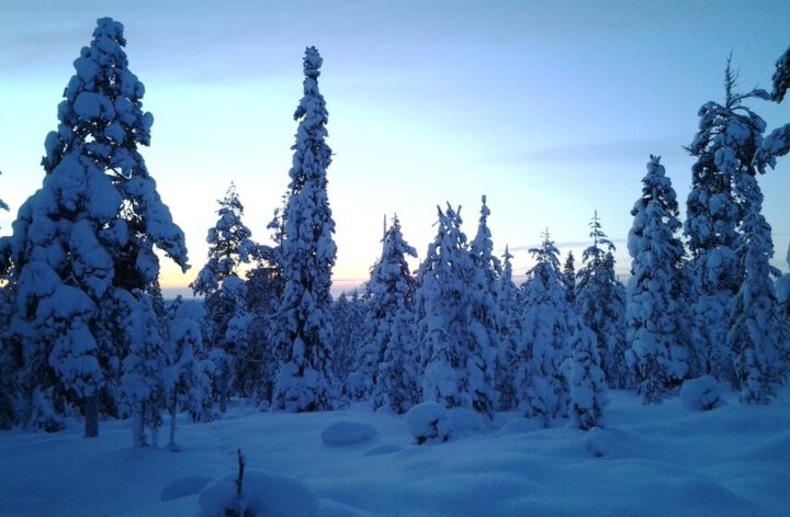 Rovaniemi