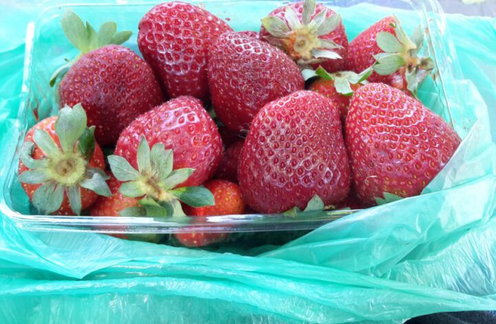 Erdbeeren