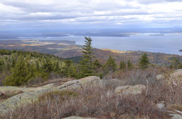 Bar Harbor