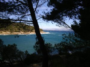 Brač