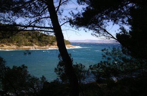Brač