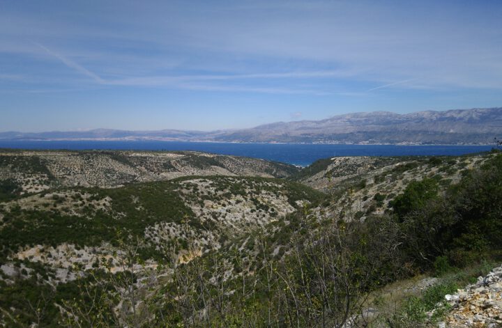 Brač
