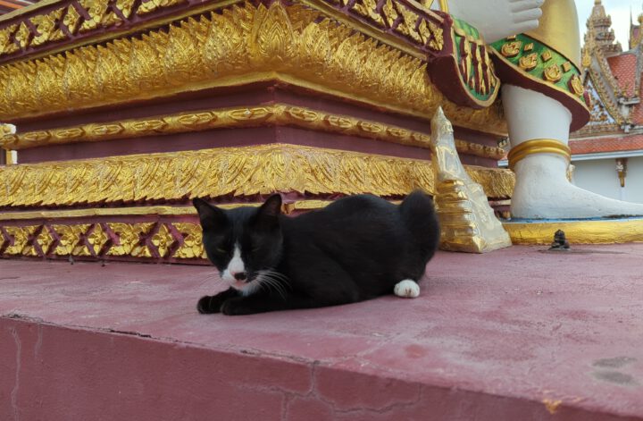 Wat Plai Laem