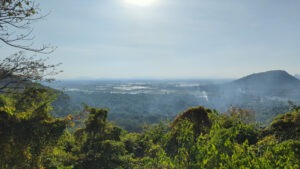 Ausblick von der Killing Cave auf Reisfelder