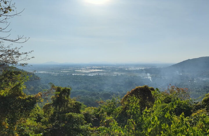 Ausblick von der Killing Cave auf Reisfelder