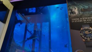 Aquarium in Dubai Mall