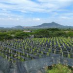 Urlaub: Kampot